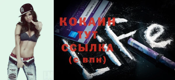 мдпв Вязьма