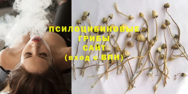 эйфоретик Вязники
