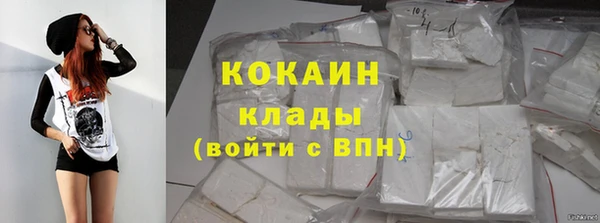apvp Вяземский