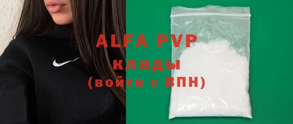 apvp Вяземский