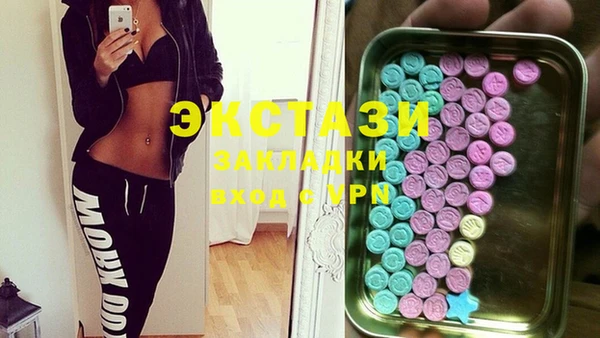 apvp Вяземский