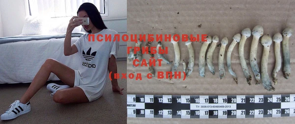 apvp Вяземский