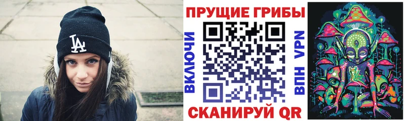 Галлюциногенные грибы Cubensis  Красавино 